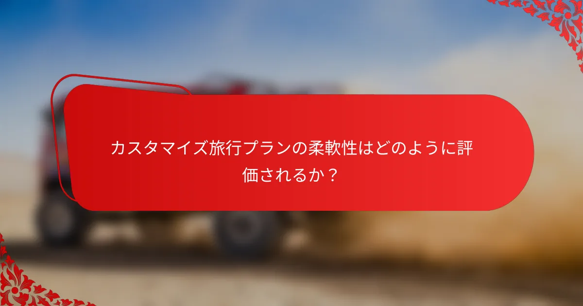 カスタマイズ旅行プランの柔軟性はどのように評価されるか？